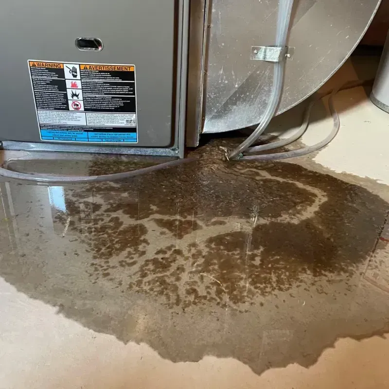 Appliance Leak Cleanup in Fort Gaines, GA